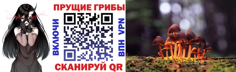 Купить где  Моршанск  Галлюциногенные грибы Psilocybine cubensis 